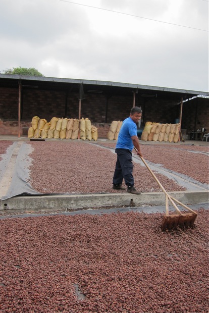 Virgiglio rollt die Kakaobohnen alle 30 Minuten mit einem Rechen